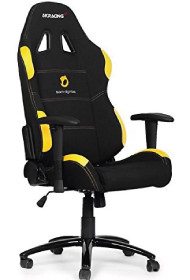 AKRacing Team Dignitas Edition.