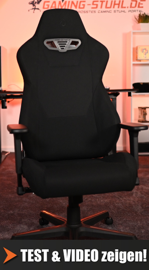 Nitro Concepts S300 Chair